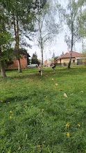 Dubnová schůzka