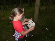 Letní tábor 2025
