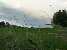 Puťák 24.-26.6.2011