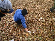 Švýcarák 11. - 13.11.2011