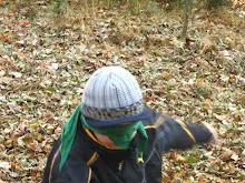 Švýcarák 11. - 13.11.2011
