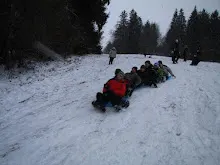 Švýcarák 20. - 22.1.2012