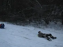Švýcarák 20. - 22.1.2012