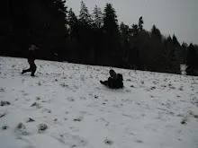 Švýcarák 20. - 22.1.2012