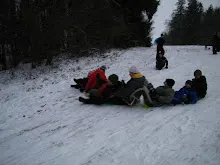 Švýcarák 20. - 22.1.2012