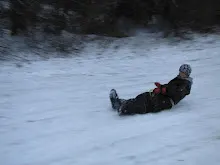 Švýcarák 20. - 22.1.2012