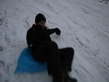 Švýcarák 20. - 22.1.2012