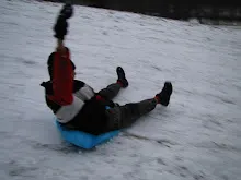 Švýcarák 20. - 22.1.2012
