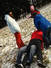Švýcarák 20. - 22.1.2012