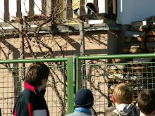Zlatá Koruna 24. - 26.2.2012