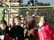 Zlatá Koruna 24. - 26.2.2012