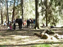 Zrzkova chaloupka 27.-29.4.2012