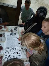 Letní tábor 2012 - Piráti
