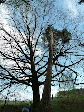 Pořešín 25.-27.4.2014