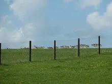 Pořešín 25.-27.4.2014