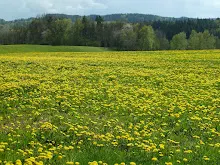 Pořešín 25.-27.4.2014