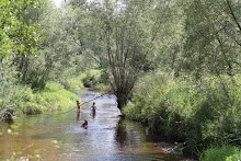 Letní tábor 2018 - Templáři