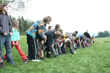 HvNH 2010