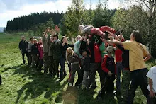 HvNH 2010