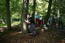 HvNH 2010