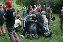HvNH 2010