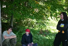 HvNH 2010