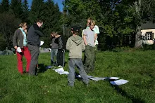 HvNH 2010