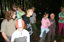 HvNH 2010