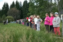 HvNH 2010