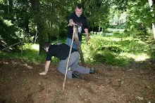 HvNH 2010