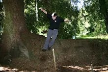 HvNH 2010