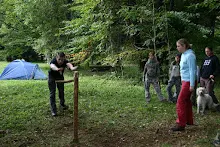 HvNH 2010