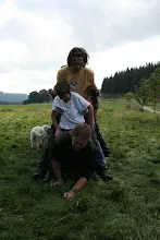 HvNH 2010
