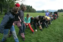HvNH 2010
