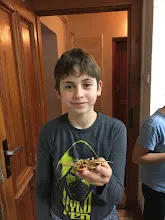 Vánoční výprava na Švýcarák 2019
