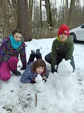 Výprava Leden 2022