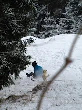 Kleť 27.12.2010
