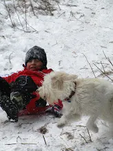 Kleť 27.12.2010
